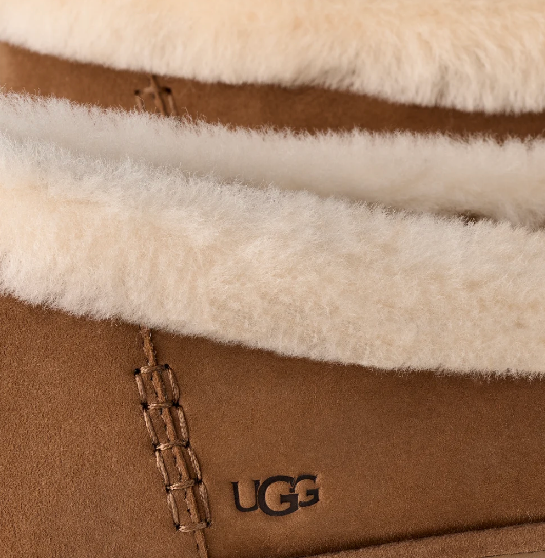 UGG Zora Ballet Flat women Chestnut suede with shearling trim