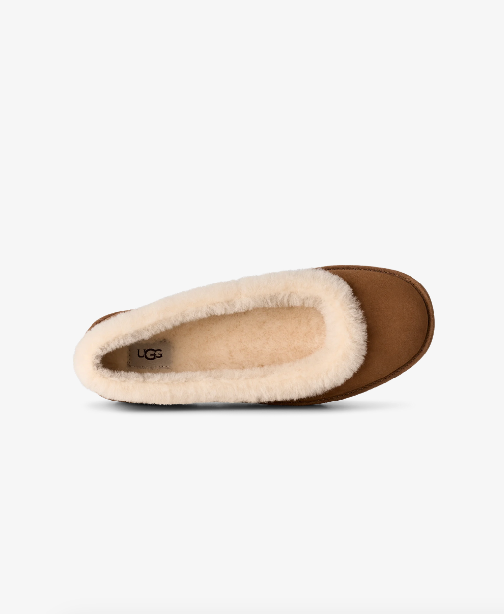UGG Zora Ballet Flat women Chestnut suede with shearling trim